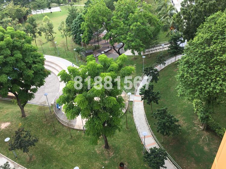 Blk 114 Serangoon North Avenue 1 (Serangoon), HDB 5 Rooms #109472392